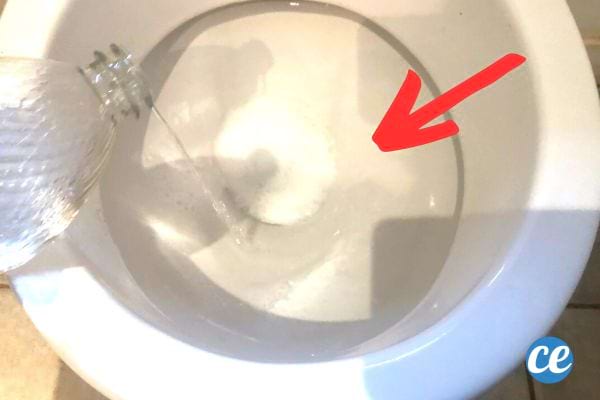 Une personne versant du vinaigre blanc au fond des toilettes