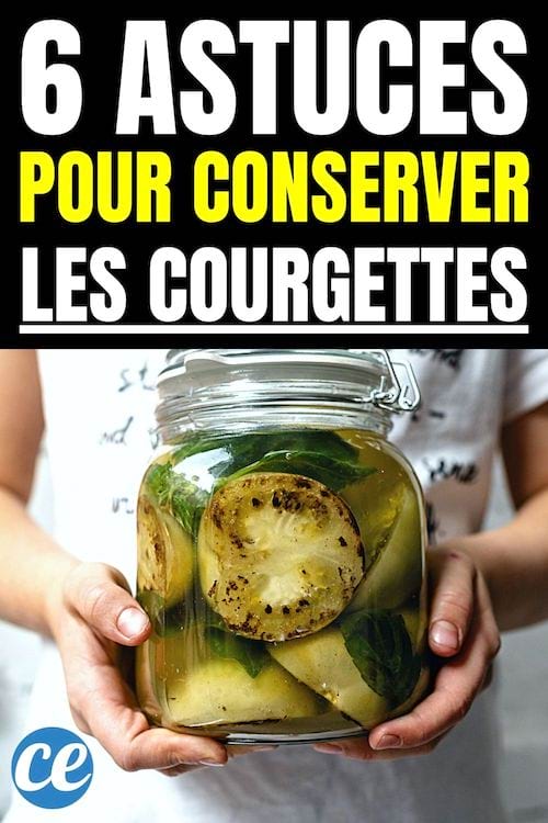 6 astuces pour conserver les courgettes
