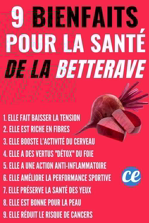9 bienfaits pour la santé de la betterave 
