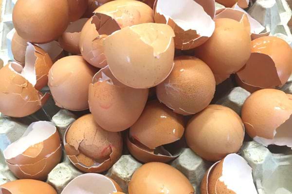 un tas de coquille d'oeufs vides