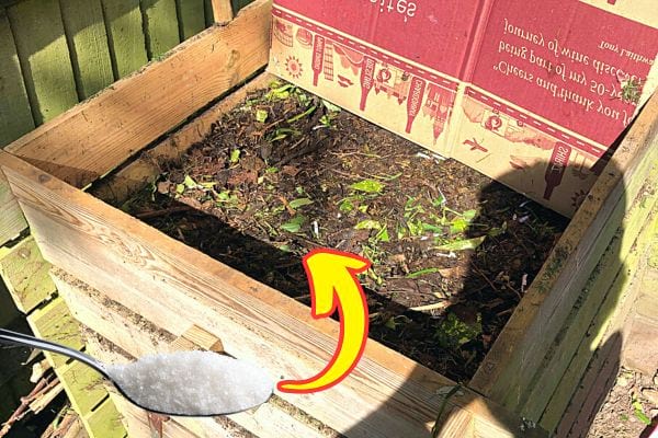 Un bac à compost dans du bois