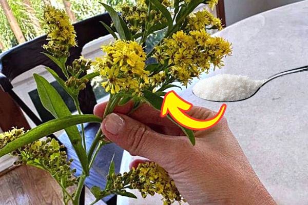 Une personne avec du vernis sur les ongles tenant des fleurs