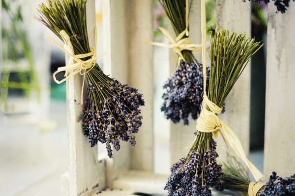 De la lavande suspendue pour éloigner les mouches