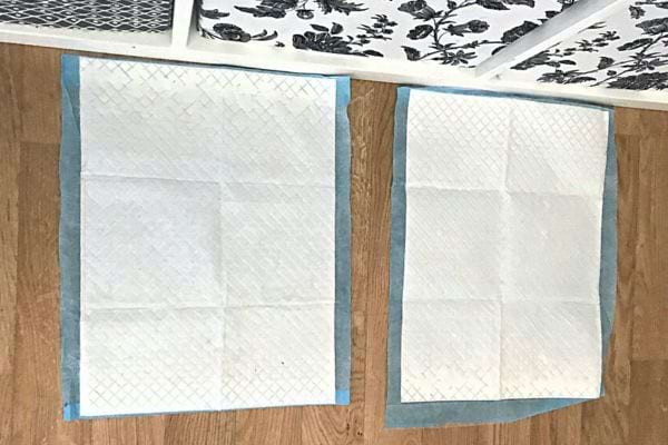 Deux tapis d'apprentissage posés sur le sol côte à côte 