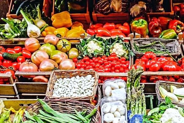 Plusieurs paniers de légumes de saison 