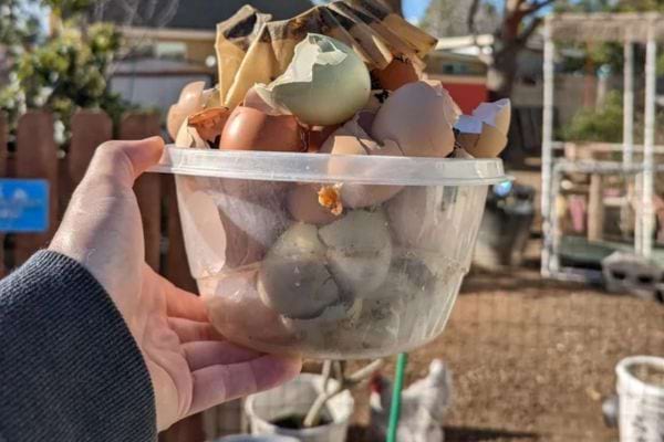 coquilles d'oeuf cassées dans les mains d'un homme