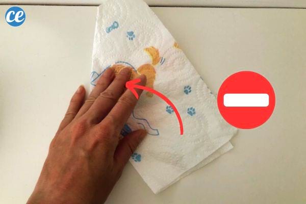 Une personne tenant un sopalin dans sa main sur une surface blanche