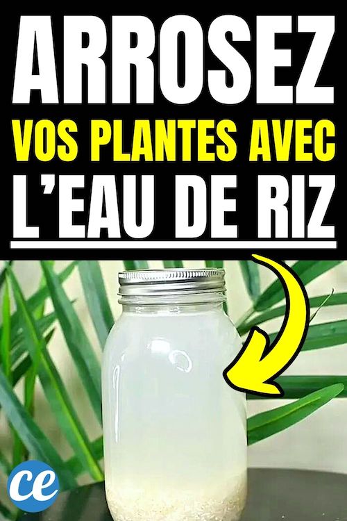 Comment Utiliser l