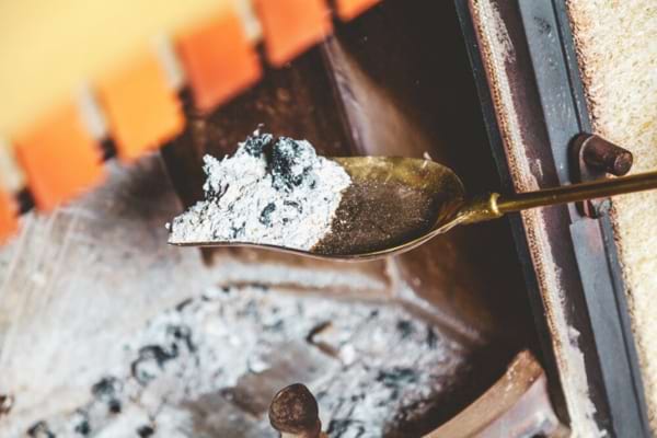 De la cendre de bois pour repousser les cloportes