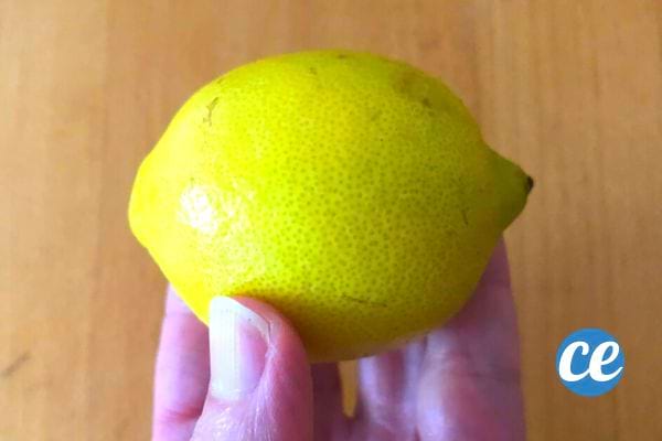 Une personne tenant un citron