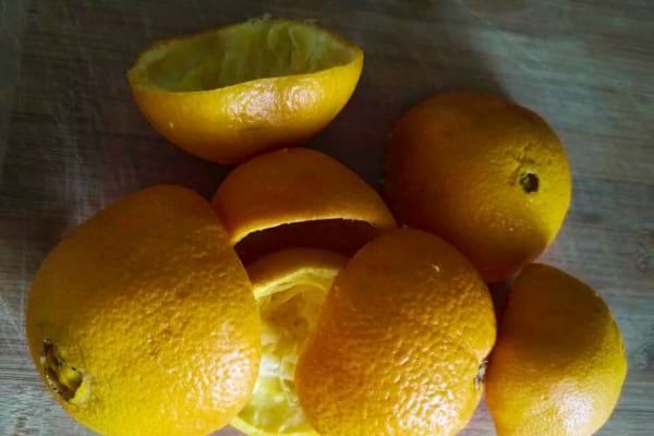 Des écorces d'orange pour éloigner les cloportes