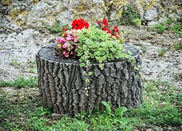 Un tronc d'arbre transformé en décoration pour jardin avec une plante  