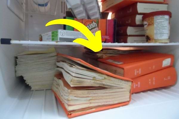 Plusieurs livres moisi dans un cong&eacute;lateur avec d'autres aliments en fond 