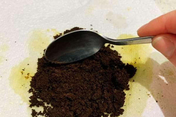 Du marc de café pour se débarrasser des cloportes