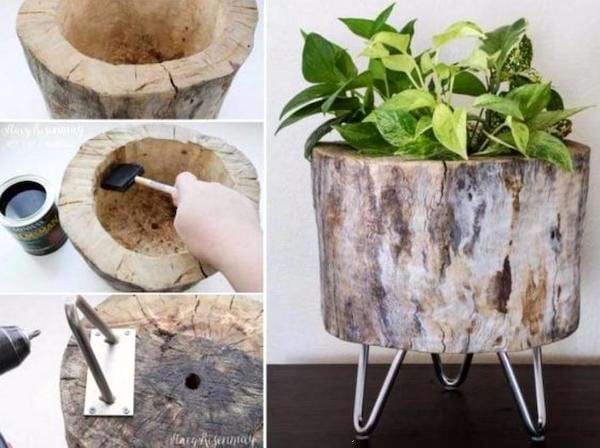 Un tronc d'arbre transformé en table basse décorée avec une plante 