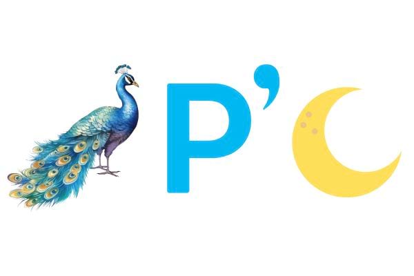 Plusieurs images de rébus qui veulent dire "Pampelune"