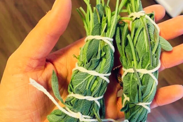 PIC Boîte Anti Mites Alimentaires - 2x2 Pièges à Phéromones, Protection