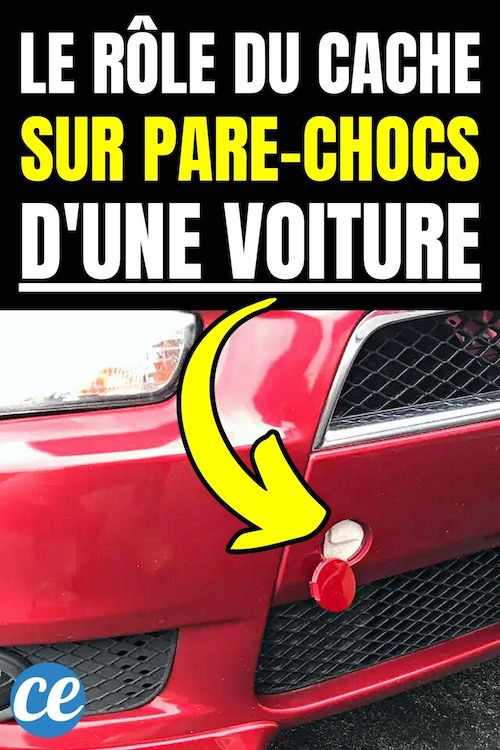 Autocollant Voiture Chien Berger Suisse - Vinyle Amovible Imperméable - Pour Pare-chocs, Vitre, Ordinateur - Design Déco 13cm