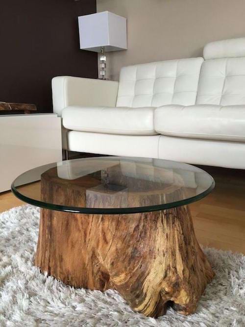 Un tronc d'arbre transformé en table basse avec du verre au dessus devant un canapé blanc 