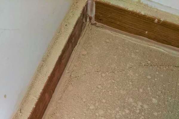 De la terre de diatomée pour repousser les cloportes