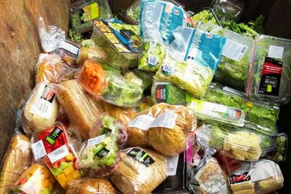 Des aliments à peine périmés dans une poubelle de supermarché