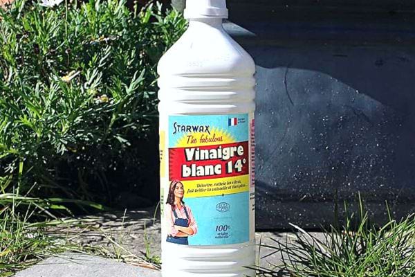 Eine weiße Flasche weißer Essig in der Natur