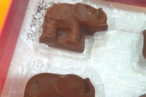 Plusieurs chocolat en forme d'éléphants 