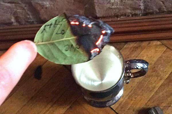 Une feuille de laurier qui brûle au dessus d'une tasse