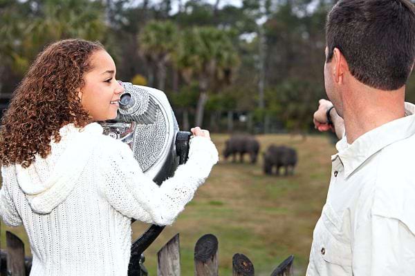 Une petite fille devant un appareil qui permet de voir plus loin avec son papa au zoo 