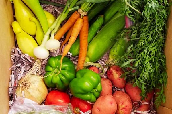 Des fruits et légumes obtenus gratuitement sur un marché