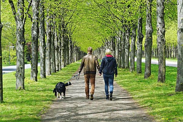 Un couple promenant leur chien dans la nature 