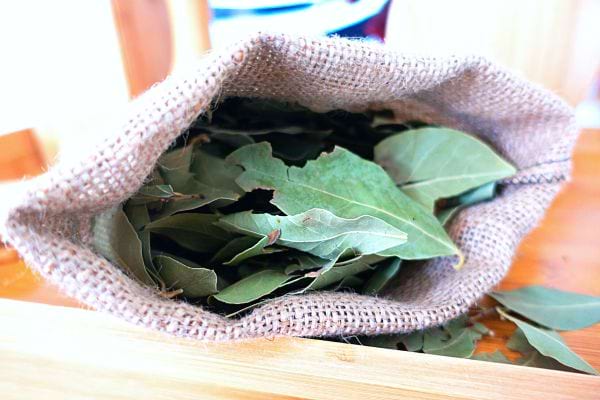 Des feuilles de laurier dans un sac