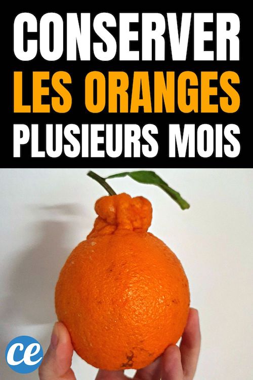Conservation Jus D Orange Frais Comment Conserver Le Jus D'orange – Conservation, Préparation Et 32 Comment Conserver les Oranges Plusieurs Mois