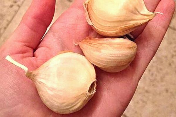 Mettre De L'ail Dans L'anus Pour Grossir Les Fessiers Quels Sont les Dangers de l'Ail pour la Santé