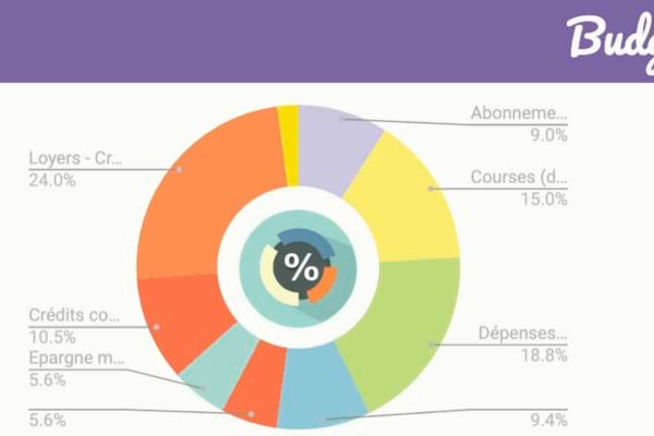 Un graphique représentant les dépenses