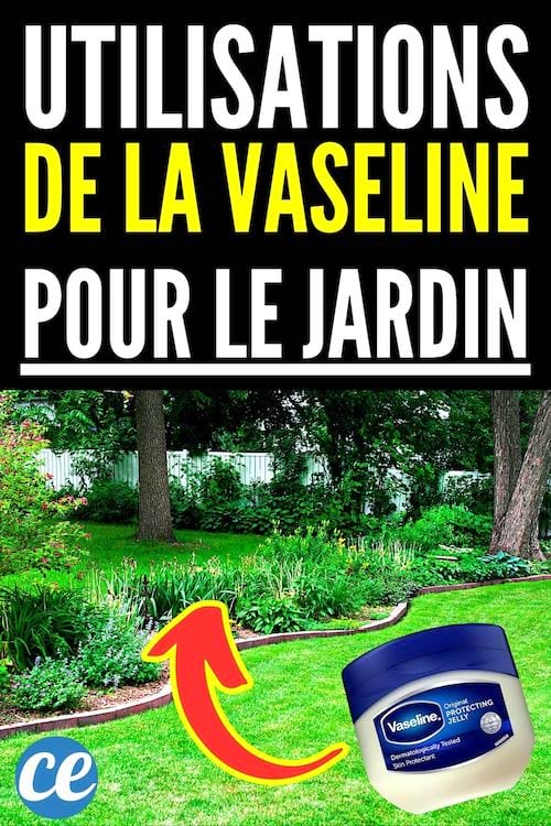 Utilisations de la vaseline pour le jardin