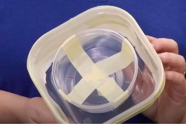 Un récipient avec du scotch dans une boîte hermétique