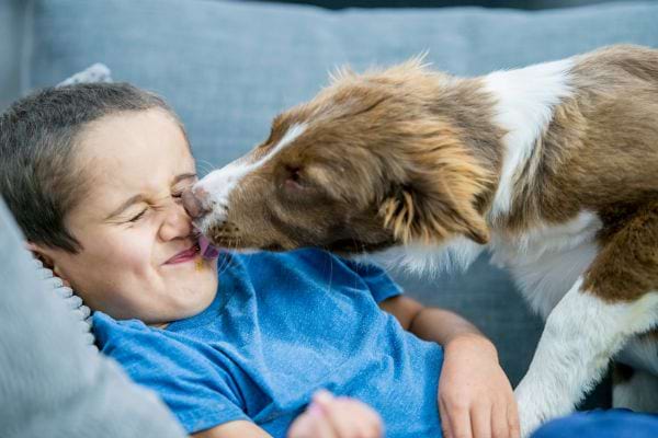 Un chien qui lèche un petit garçon