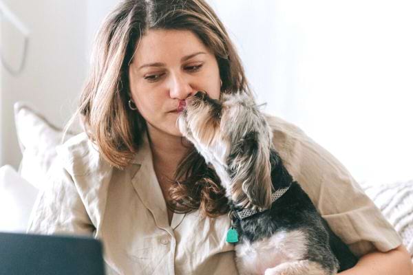 Un chien qui lèche le nez d'une femme