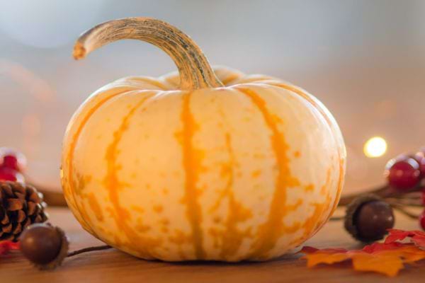 Une citrouille de couleur claire 