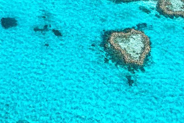 Un coeur dans l'océan 