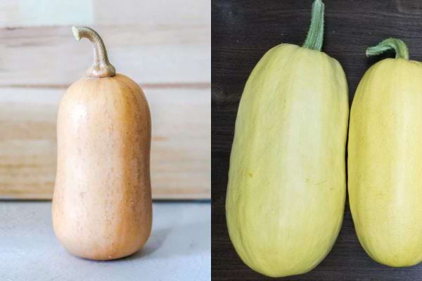 Une courge butternut et deux courges spaghettis