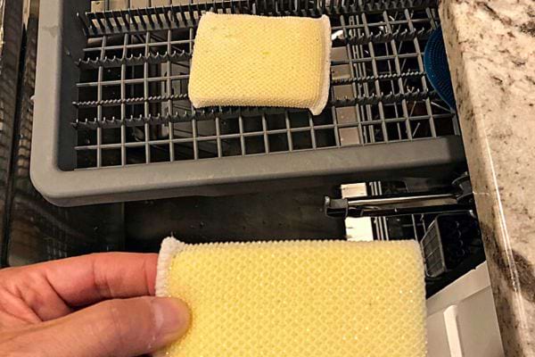 Une personne qui tient une éponge devant une autre dans un lave-vaisselle