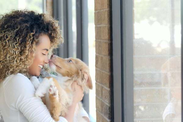 Un chien qui lèche le nez d'une femme métisse