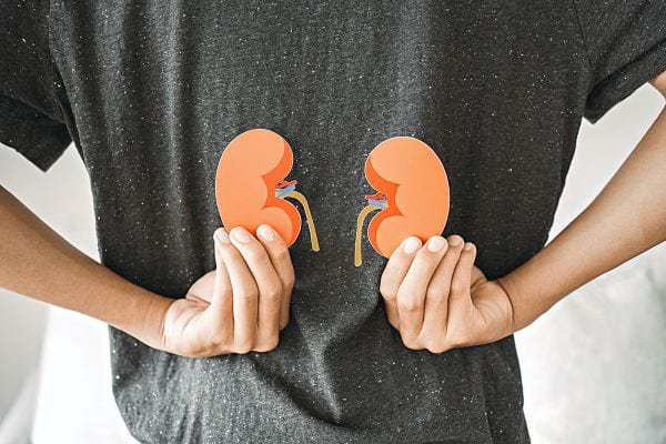 Une personne avec deux stickers représentant des reins derrière son dos