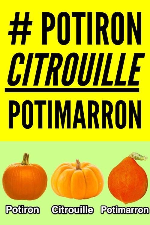 #Potiron citrouille potimarron