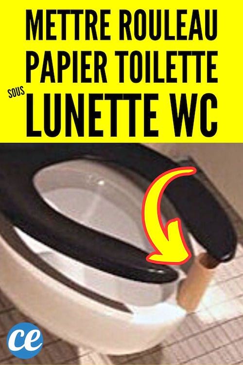 un rouleau de papier toilette coincé sous la lunette des WC