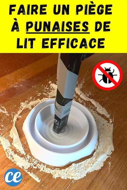 Comment Faire un Piège à Punaises de Lit Simple et Efficace.