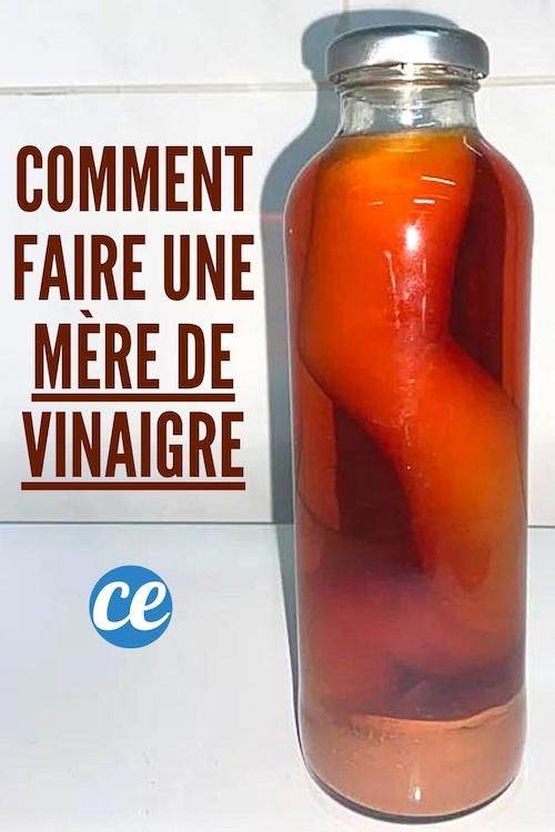 Comment Faire une Mère de Vinaigre ? Ma Recette Facile