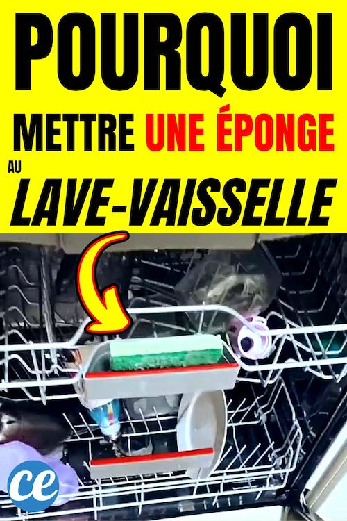 Comment Nettoyer une Éponge au LaveVaisselle